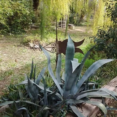 Apartamento Salanca *