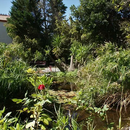 Salanca Apartamento Saint-Laurent-de-la-Salanque