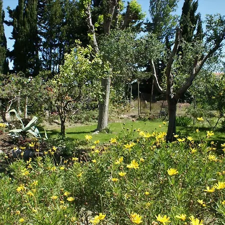 Salanca