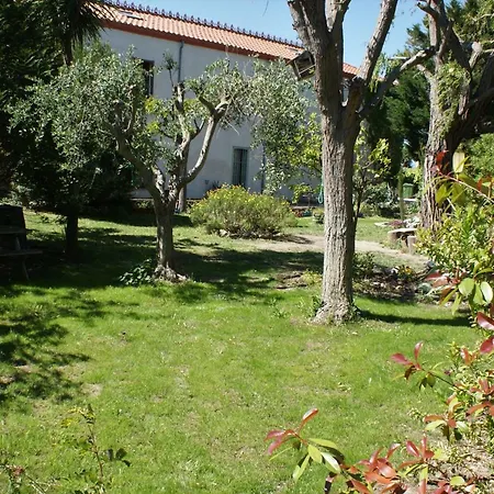 Salanca Apartamento *
